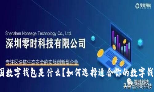 美国数字钱包是什么？如何选择适合你的数字钱包？