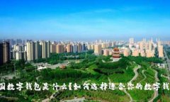 美国数字钱包是什么？如何选择适合你的数字钱