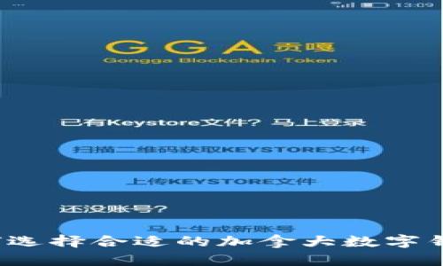 如何选择合适的加拿大数字钱包？