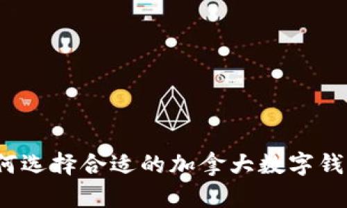 如何选择合适的加拿大数字钱包？