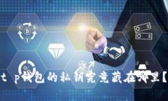 t p钱包的私钥究竟藏在哪里？