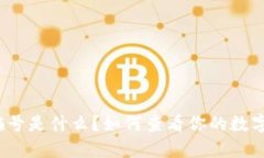 数字钱包偏号是什么？如何查看你的数字钱包偏
