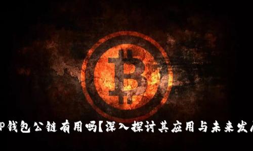 TP钱包公链有用吗？深入探讨其应用与未来发展
