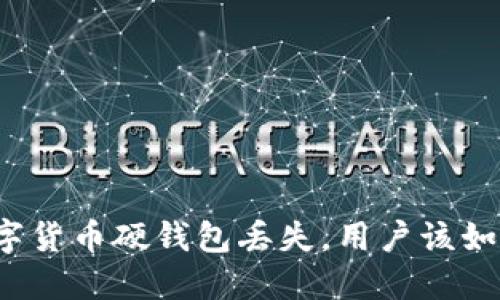 如果数字货币硬钱包丢失，用户该如何应对？