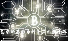 为什么TP钱包中的某些币种会显示数十万美元的价