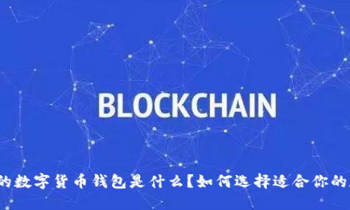 全球最大的数字货币钱包是什么？如何选择适合你的数字钱包？