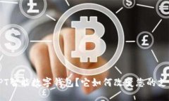 什么是PT智能数字钱包？它如何改变您的支付方式