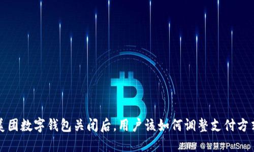  美团数字钱包关闭后，用户该如何调整支付方式？