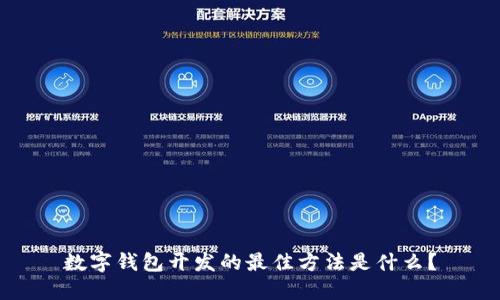 数字钱包开发的最佳方法是什么？