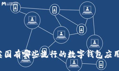 英国有哪些流行的数字钱包应用？