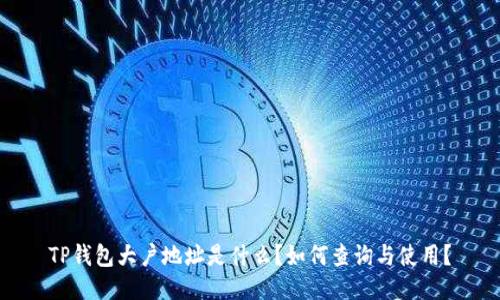 TP钱包大户地址是什么?如何查询与使用?