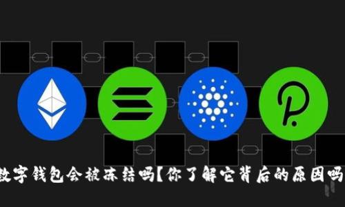 数字钱包会被冻结吗？你了解它背后的原因吗？