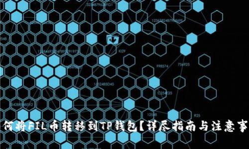 如何将FIL币转移到TP钱包?详尽指南与注意事项