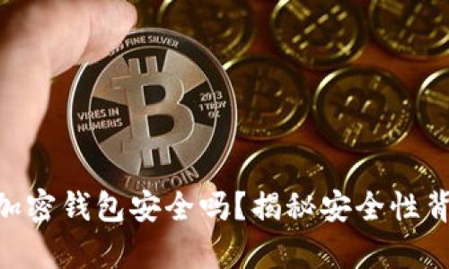 Actoken加密钱包安全吗？揭秘安全性背后的真相