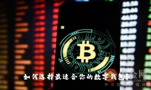 如何选择最适合你的数字钱包?