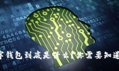 : Yettaldn数字钱包到底是什么？你需要知道的五个