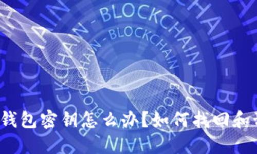 : 丢失加密币钱包密钥怎么办？如何找回和预防安全隐患！