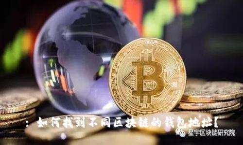 : 如何找到不同区块链的钱包地址？