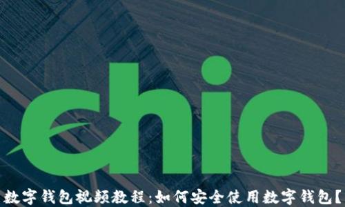 
数字钱包视频教程：如何安全使用数字钱包？