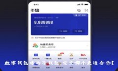 数字钱包中的子钱包，究竟哪个更适合你？