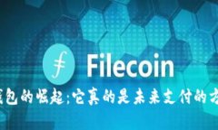 数字钱包的崛起：它真的是未来支付的方向吗？