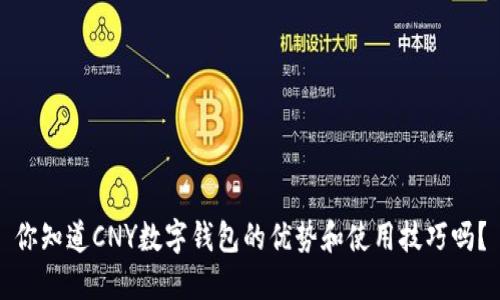 你知道CNY数字钱包的优势和使用技巧吗？