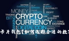 什么是数字币卡片钱包？如何选择合适的数字币