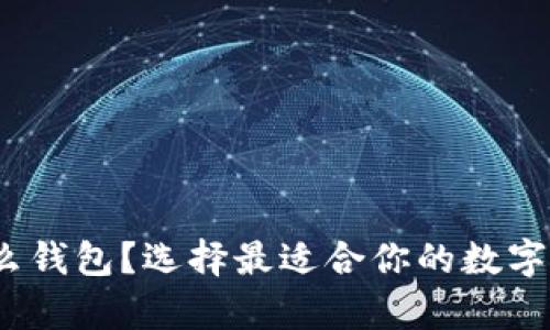 数字货币要用什么钱包?选择最适合你的数字钱包类型有哪些?