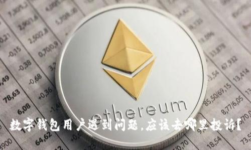 数字钱包用户遇到问题，应该去哪里投诉？