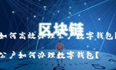如何高效办理公户数字钱包？公户如何办理数字