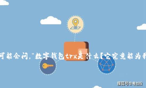 数字钱包是一个广受欢迎的术语，尤其是在加密货币和区块链技术蓬勃发展的今天。许多人可能会问，“数字钱包trx是什么？它究竟能为我们带来什么样的便利？”在这个互联网金融日益发达的时代，我们有必要深入了解这一概念。

什么是数字钱包TRX？了解TRX背后的数字钱包的优势和功能