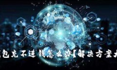 数字钱包充不进钱怎么办？解决方案大揭秘！