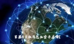 苹果8手机钱包加密卡在哪？