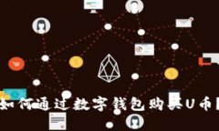 如何通过数字钱包购买U币？