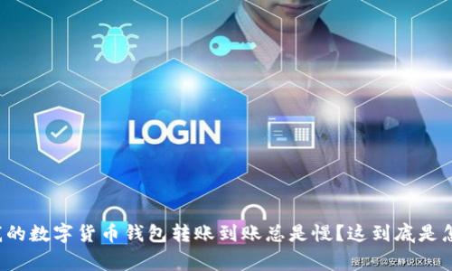 为什么我的数字货币钱包转账到账总是慢？这到底是怎么回事？