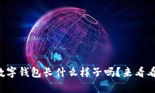 你知道深圳的数字钱包长什么样子吗？来看看这些卡通设计！