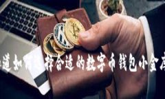 你知道如何选择合适的数字币钱包小金库吗？