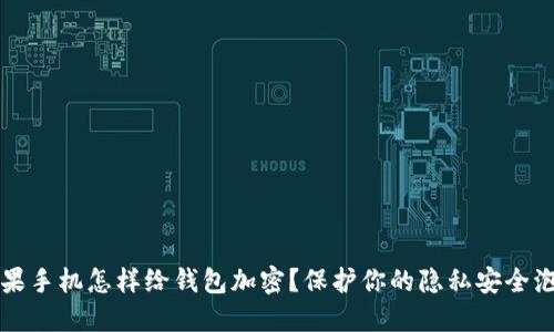 苹果手机怎样给钱包加密？保护你的隐私安全泡沫