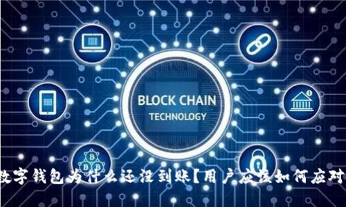 数字钱包为什么还没到账？用户应该如何应对？