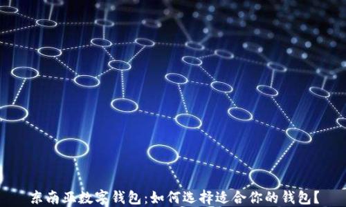 
东南亚数字钱包：如何选择适合你的钱包？
