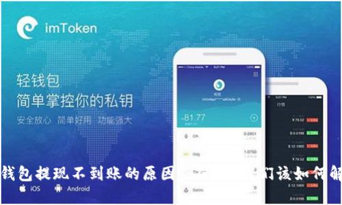 tp钱包提现不到账的原因是什么？我们该如何解决？