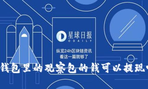 TP钱包里的观察包的钱可以提现吗？