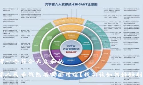 思考一个符合大众和的

数字人民币钱包有哪些用途？我们该如何好好利用？
