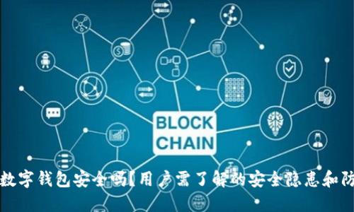 周董的数字钱包安全吗？用户需了解的安全隐患和防护措施
