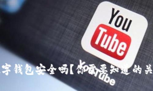 钱放数字钱包安全吗?你需要知道的关键因素