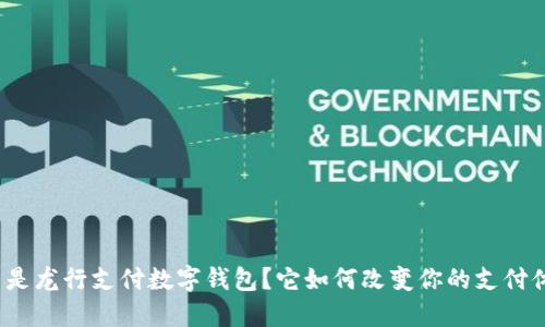什么是龙行支付数字钱包？它如何改变你的支付体验？